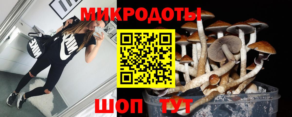 цены   Вход с VPN  Псилоцибиновые грибы Psilocybine cubensis  Серов  Галлюциногенные грибы Psilocybine cubensis 